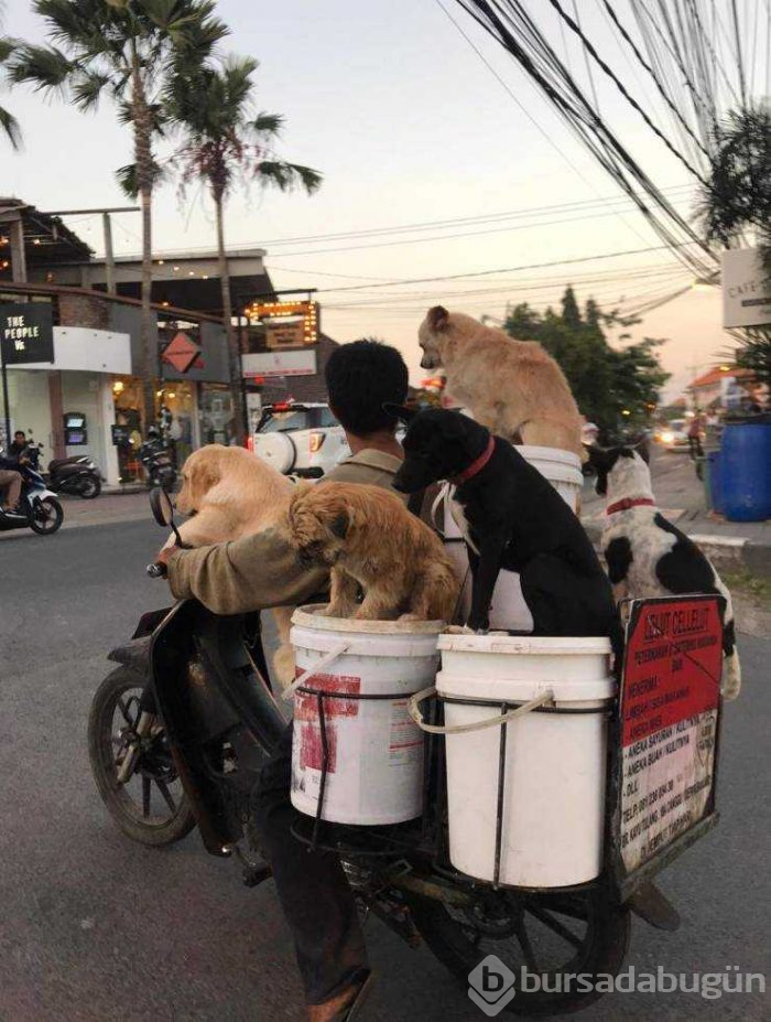 Günün en çok paylaşılan fotoğrafları