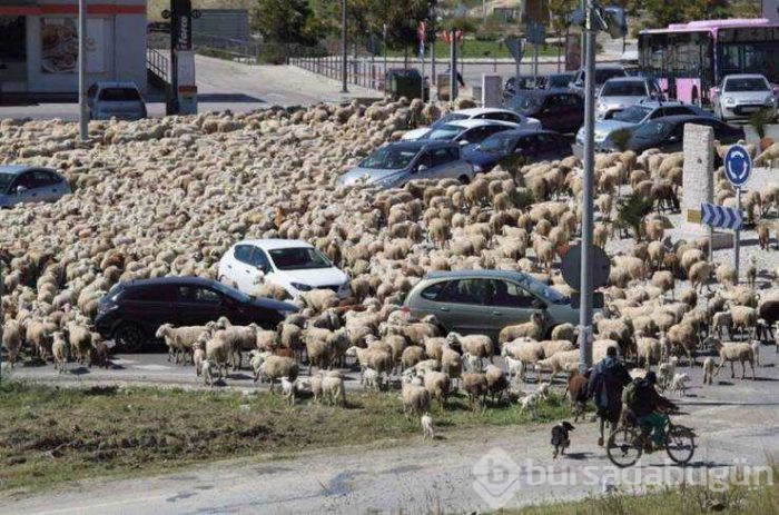 Günün en çok paylaşılan fotoğrafları
