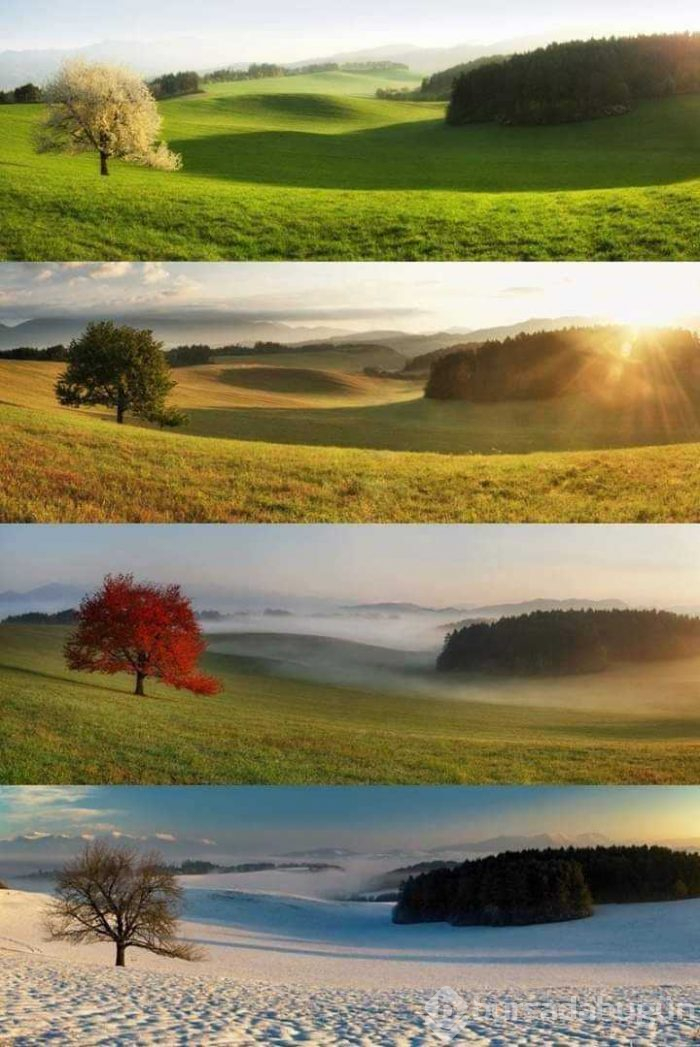 Günün en çok paylaşılan fotoğrafları