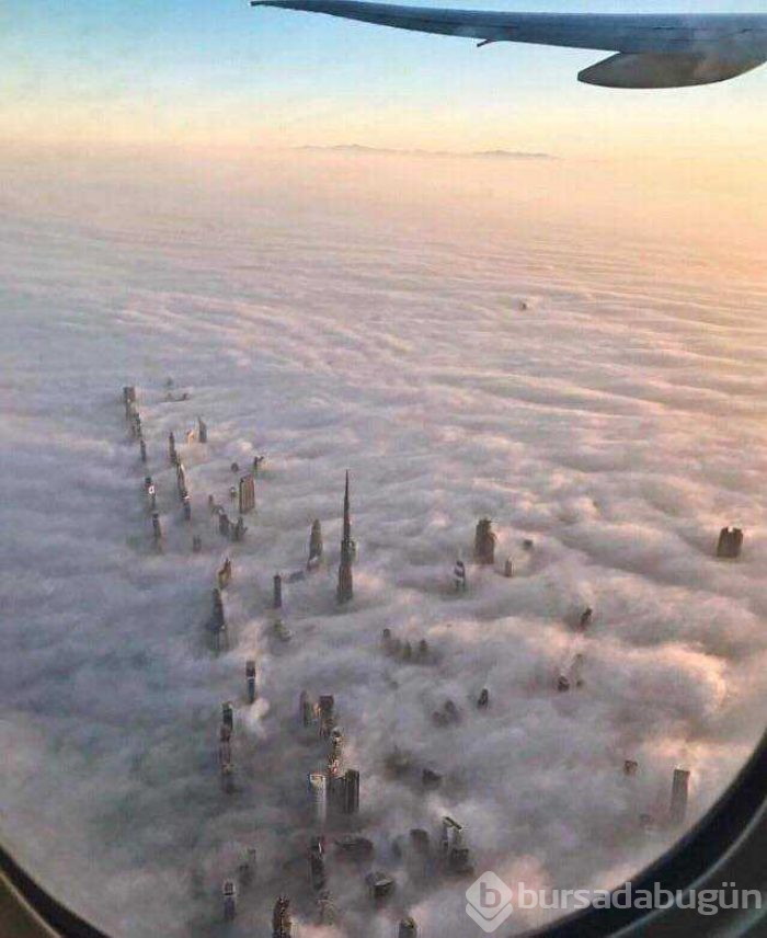 Günün en çok paylaşılan fotoğrafları