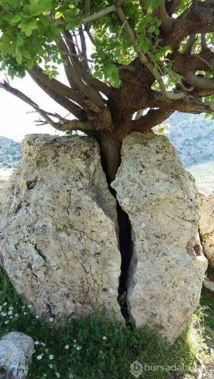 Günün en çok paylaşılan fotoğrafları