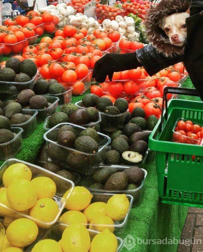 Günün en çok paylaşılan fotoğrafları
