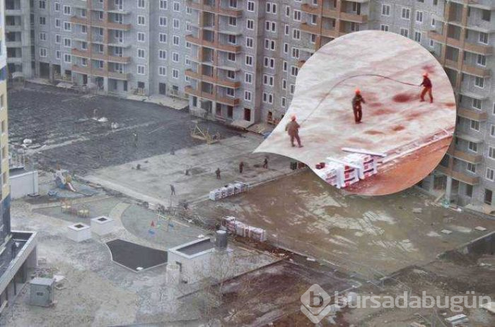 Günün en çok paylaşılan fotoğrafları