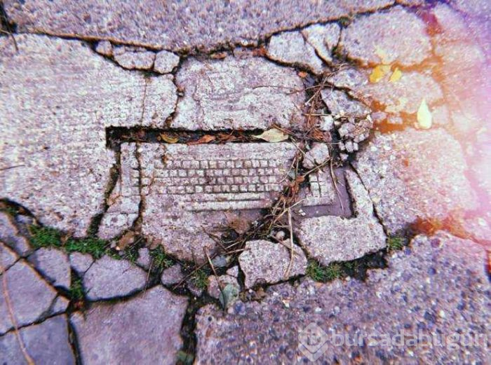 Günün en çok paylaşılan fotoğrafları
