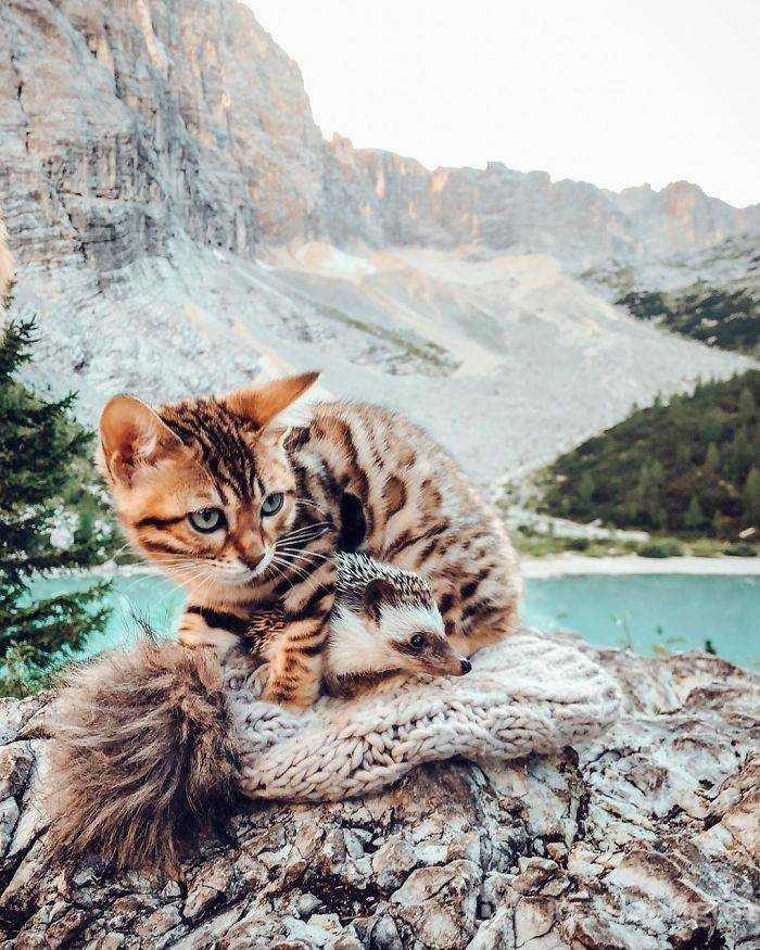 Günün en çok paylaşılan fotoğrafları