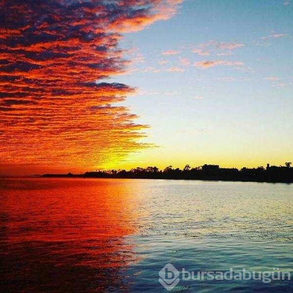 Günün en çok paylaşılan fotoğrafları