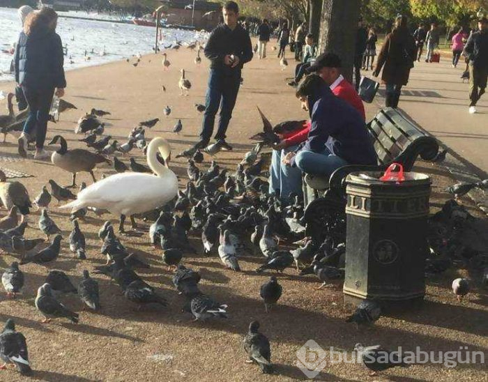 Günün en çok paylaşılan fotoğrafları