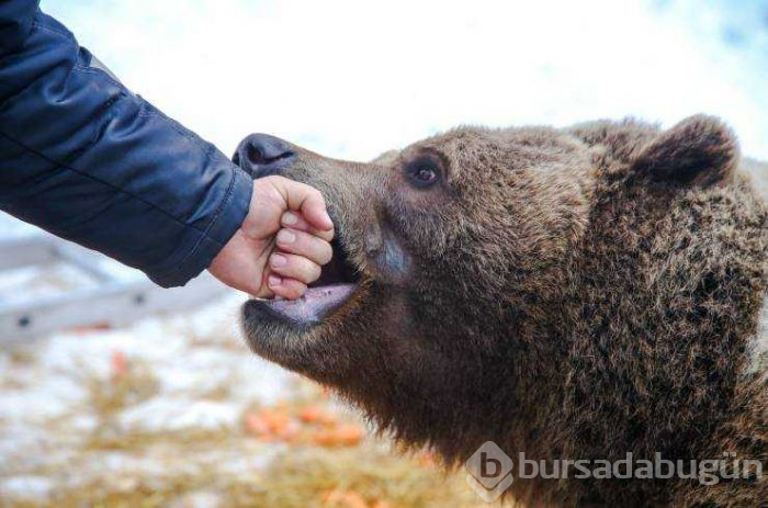 Günün en çok paylaşılan fotoğrafları