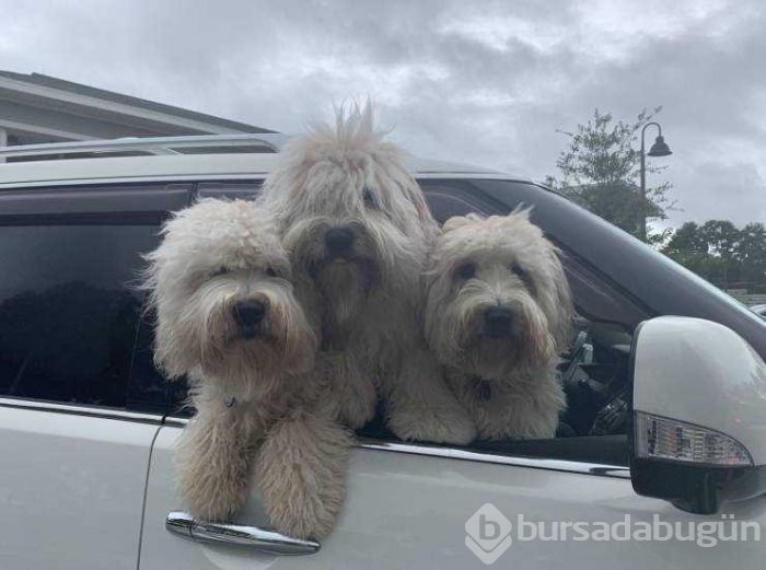 Günün en çok paylaşılan fotoğrafları