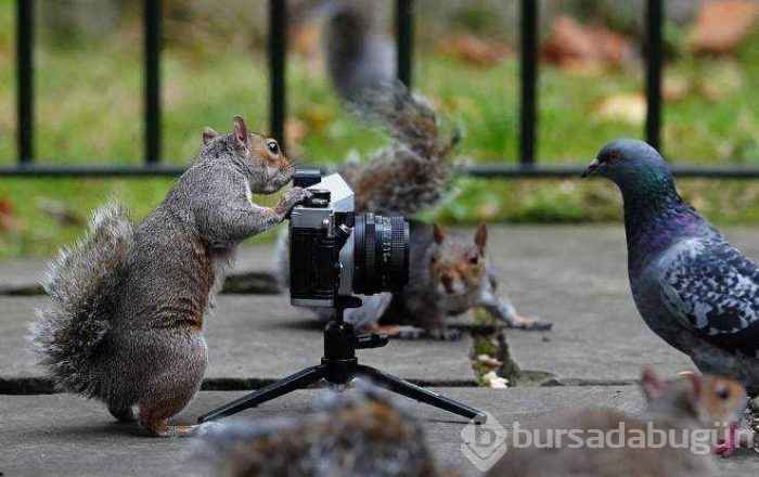 Günün en çok paylaşılan fotoğrafları