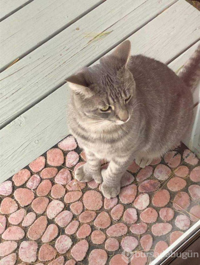 Günün en çok paylaşılan fotoğrafları