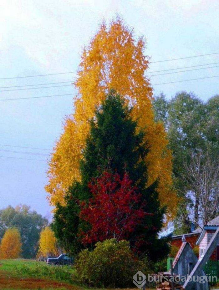 Günün en çok paylaşılan fotoğrafları