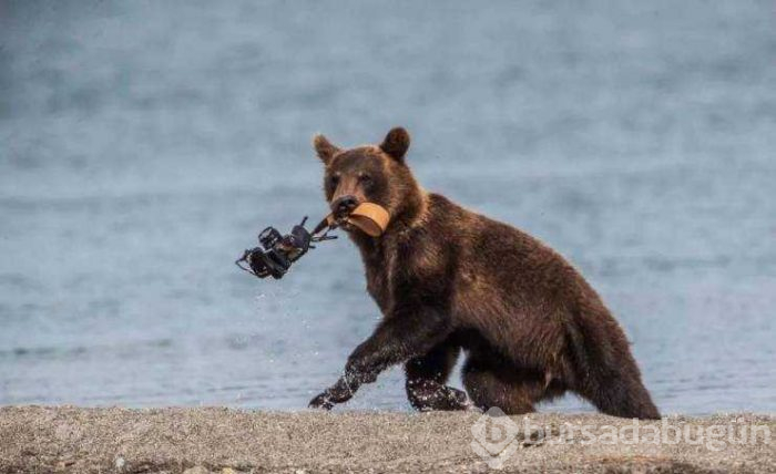 Günün en çok paylaşılan fotoğrafları
