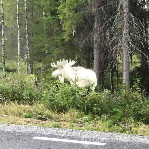 Günün en çok paylaşılan fotoğrafları