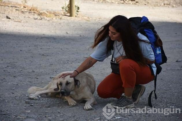 Otostopla çıktığı Türkiye turunu tamamladı