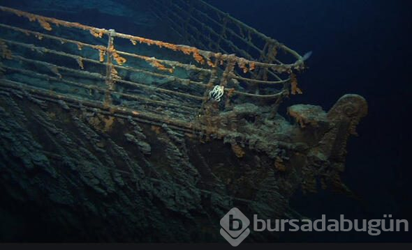 Okyanusun dibinde inanılmaz görüntü