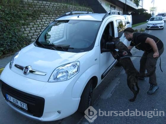 İstanbul'da huzur operasyonu!
