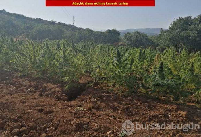 Terörün finans kaynağına darbe!