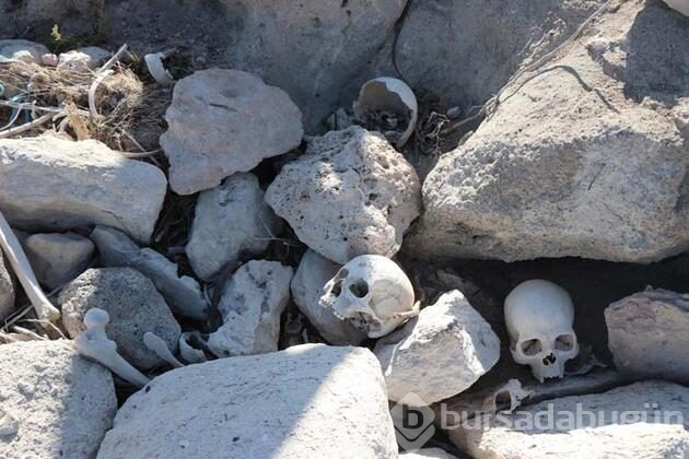 İskeletler ve kafatasları etrafa saçıldı