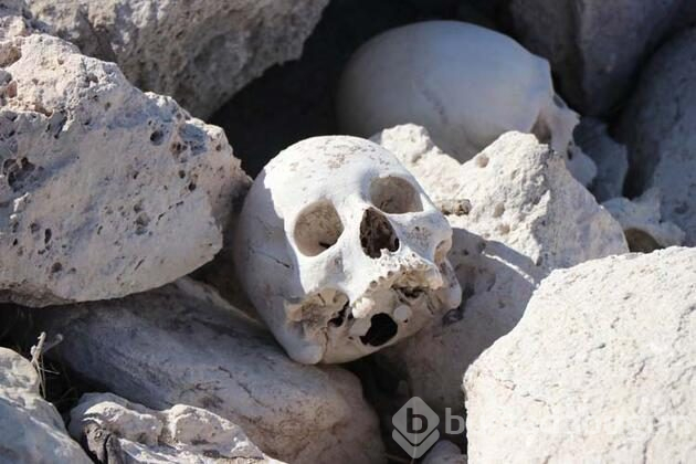 İskeletler ve kafatasları etrafa saçıldı