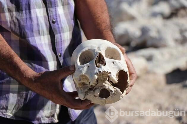 İskeletler ve kafatasları etrafa saçıldı