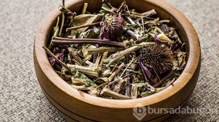 Mevsim geçişlerinde hastalıklardan nasıl korunabiliriz?