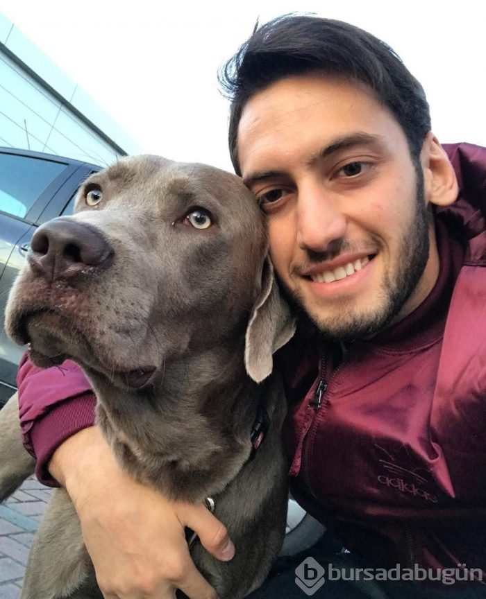 Ünlüler ve sevimli dostları