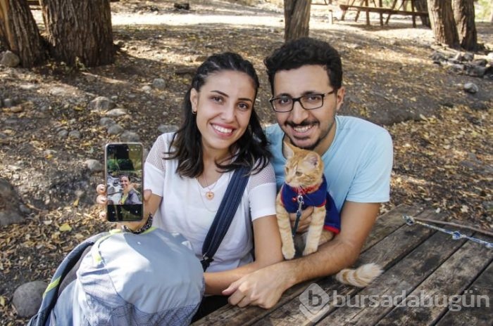 Sevimli kedi otostopla Türkiye'yi geziyor
