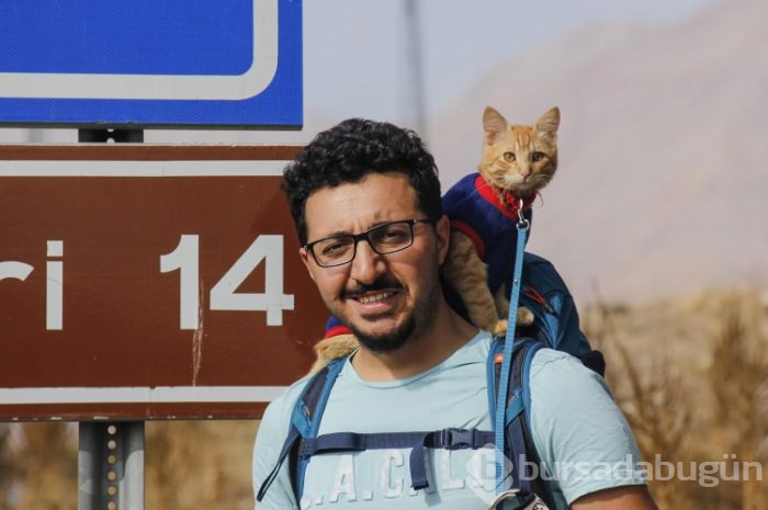 Sevimli kedi otostopla Türkiye'yi geziyor