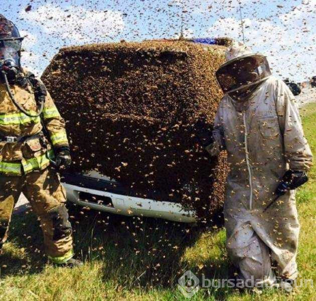 Günün en çok paylaşılan fotoğrafları