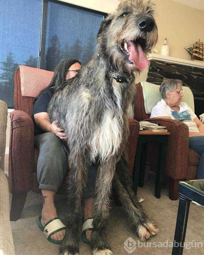 Günün en çok paylaşılan fotoğrafları