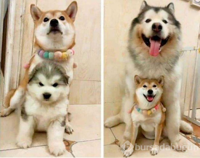 Günün en çok paylaşılan fotoğrafları