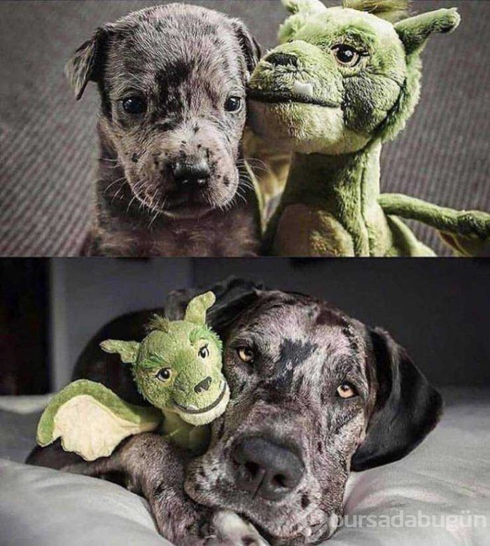 Günün en çok paylaşılan fotoğrafları