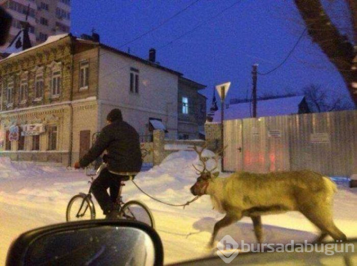Günün en çok paylaşılan fotoğrafları