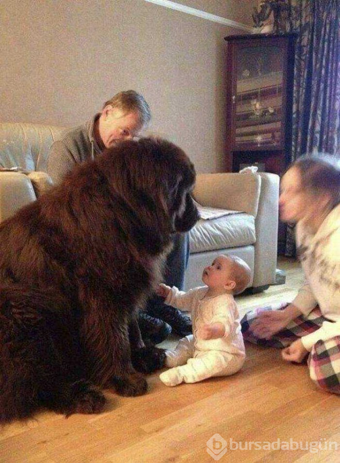 Günün en çok paylaşılan fotoğrafları