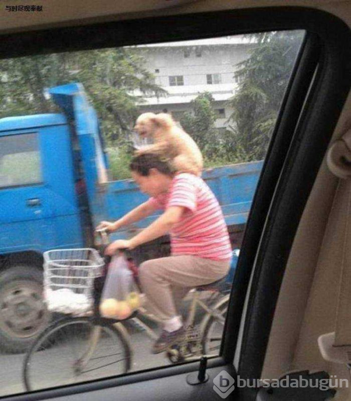 Günün en çok paylaşılan fotoğrafları