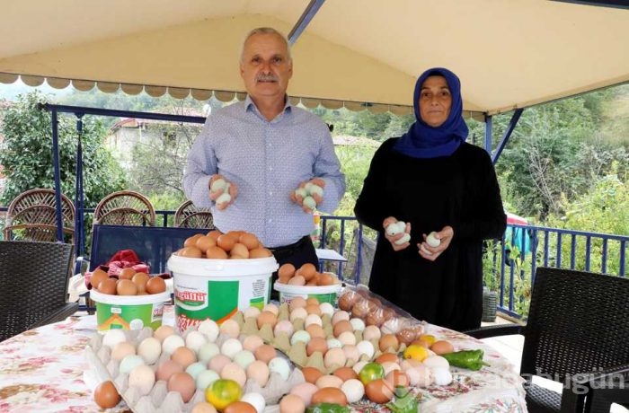 Emekli çift üretmeye başladı! 