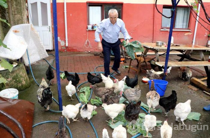 Emekli çift üretmeye başladı! 