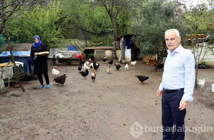Emekli çift üretmeye başladı! 