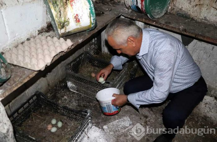 Emekli çift üretmeye başladı! 
