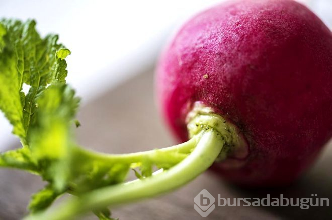 Bu besinin kökünden şifa fışkırıyor