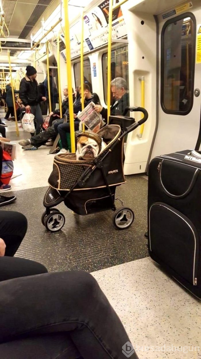 Metro istasyonlarında çekilmiş birbirinden ilginç 15 fotoğraf