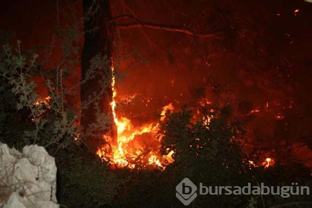 Mersin'de korkutan yangın!