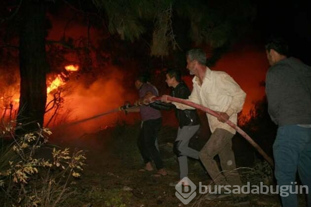 Mersin'de korkutan yangın!