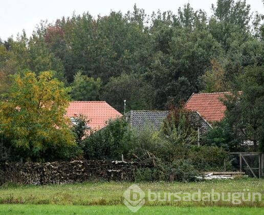 Dehşet evi!