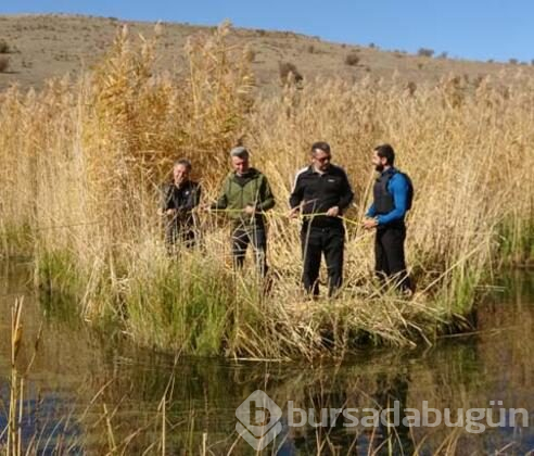 Yüzen adaların üstünde yürüdü