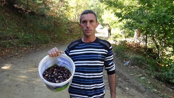 Binbir zahmetle toplanıyor