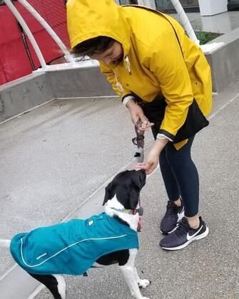 Bergüzar Korel'den Zeynep Korel açıklaması!