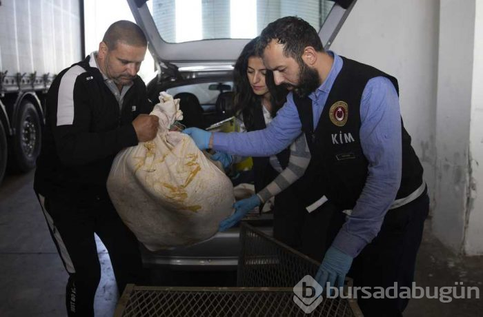 'Sürüngen' operasyonu!