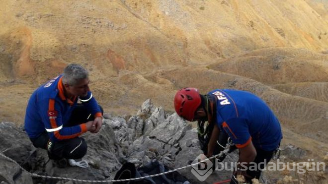 Bir hafta kayalıklarda mahsur kalan keçiler kurtarıldı